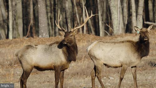 500 Lexington Dr, ROMNEY, WV, 26757-1856 | Card Image