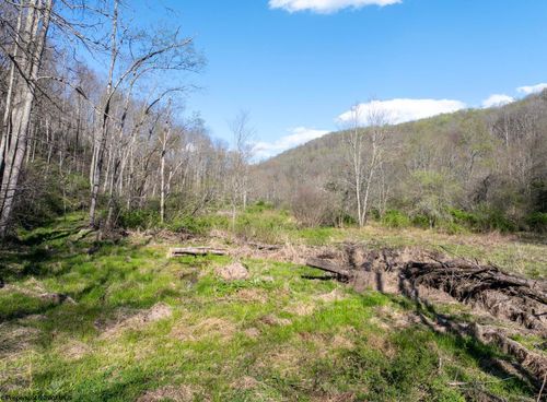 Lot 1 Squires Run Rd, Reedsville, WV, 26547 | Card Image
