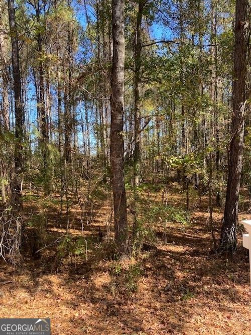 tract-201-0 Triune Mill Rd, thomaston, GA, 30286 | Card Image