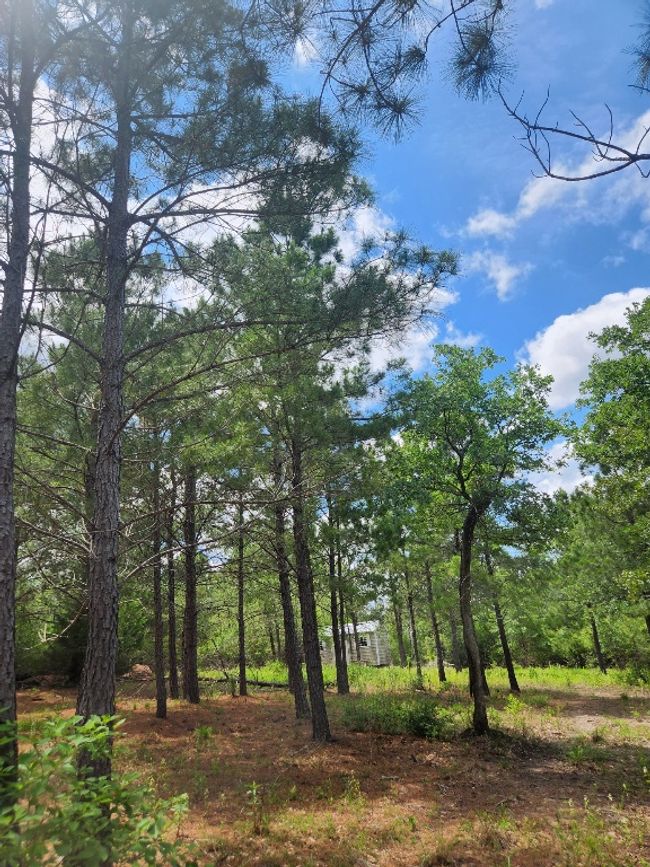 124 Paintbrush Ln, Home with 0 bedrooms, 0 bathrooms and null parking in Bastrop TX | Image 12