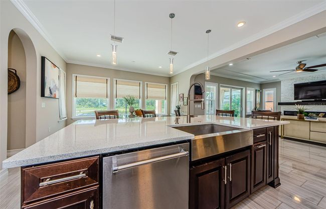 29038 Picana Ln, House other with 4 bedrooms, 4 bathrooms and null parking in WESLEY CHAPEL FL | Image 24