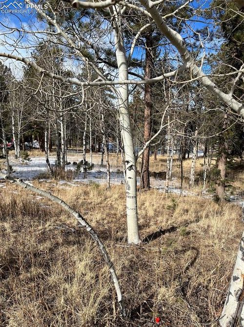 630 Pembrook Dr, Woodland Park, CO, 80863-9449 | Card Image