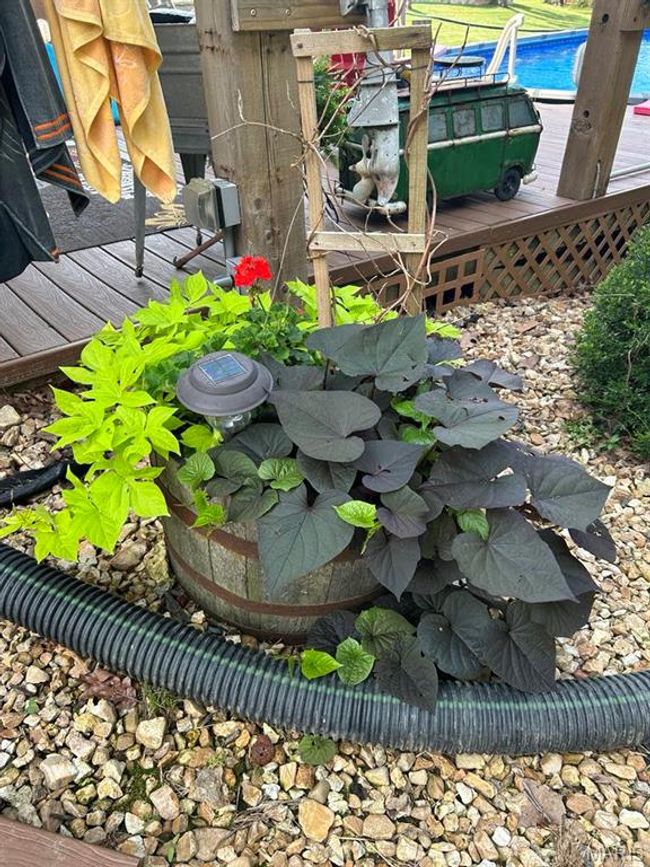 Image provided by Owner from last Summer. | Image 68