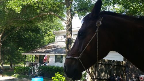 331 Glenwood Dr, Warrenville, SC, 29851-3224 | Card Image