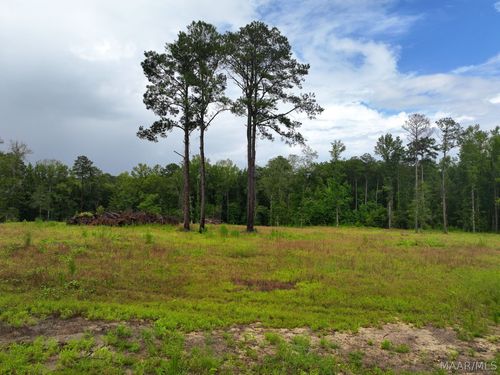13 County Road 24, Auburn, AL, 36830 | Card Image