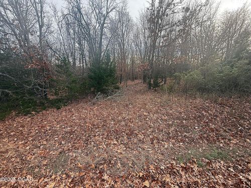 TBD S Loma Linda Dr, Joplin, MO, 64804 | Card Image