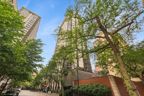 10ad-1310 N Ritchie Ct, Chicago, IL, 60610-4956 | Card Image