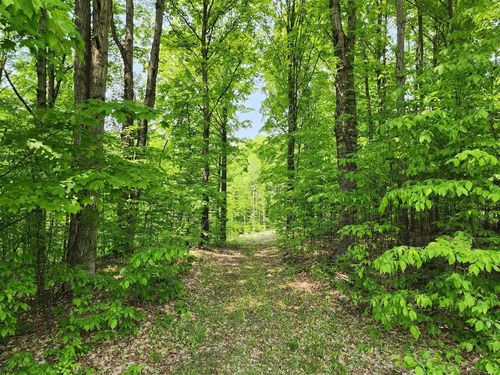 V/L Ravens Roost, Long Lake Township, MI, 49684 | Card Image