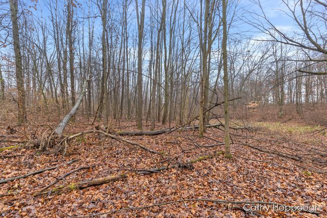 PARCEL-1 - V/L W Snows Lake Road, Home with 0 bedrooms, 0 bathrooms and null parking in Fenwick MI | Image 15