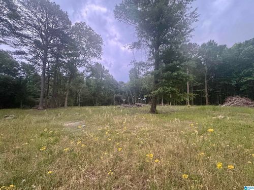 0-0 Mims Circle, Clanton, AL, 35045 | Card Image