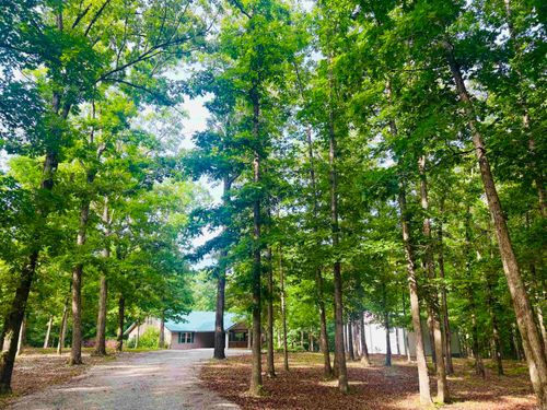 252 Mitchell Road, Mountain View, AR, 72560 | Card Image