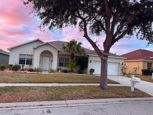 11016 Wildcat Dr, RIVERVIEW, FL, 33579-0704 | Card Image