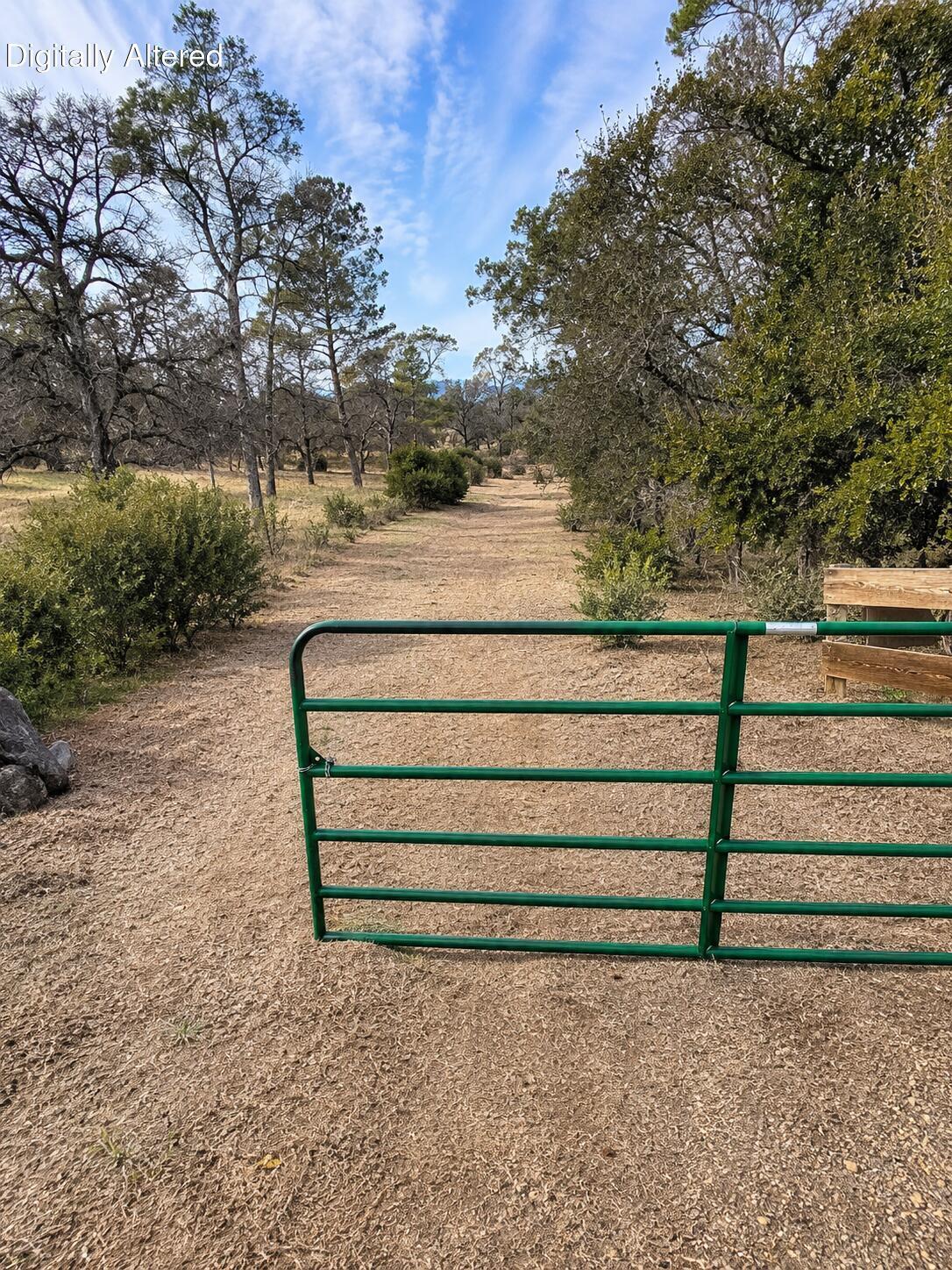 Land in Shingletown 3
