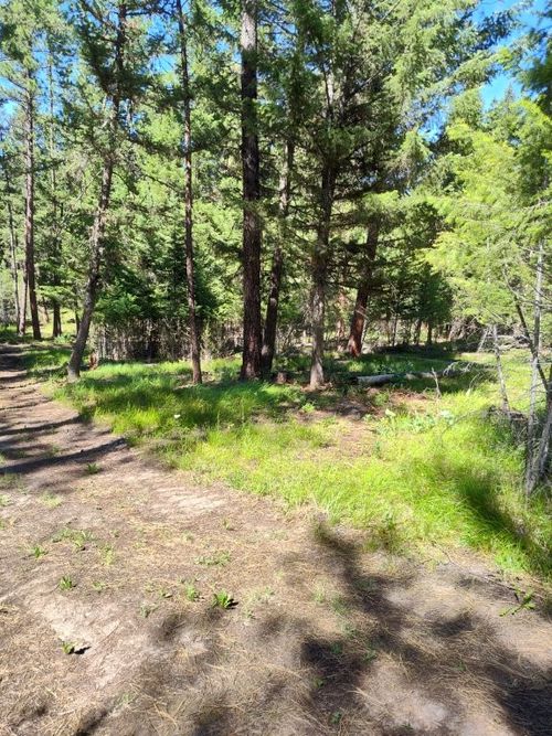 1825 Copper Cliff Dr, Bonner, MT, 59823-9765 | Card Image