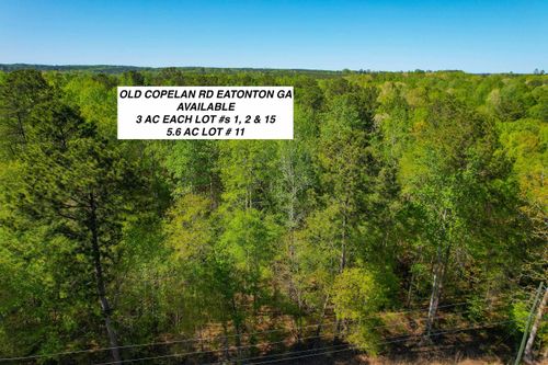 Lot 1 Old Copelan Rd, Eatonton, GA, 31024 | Card Image
