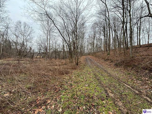 627 New State Rd, Home with 0 bedrooms, 0 bathrooms and null parking in Webster KY | Image 11