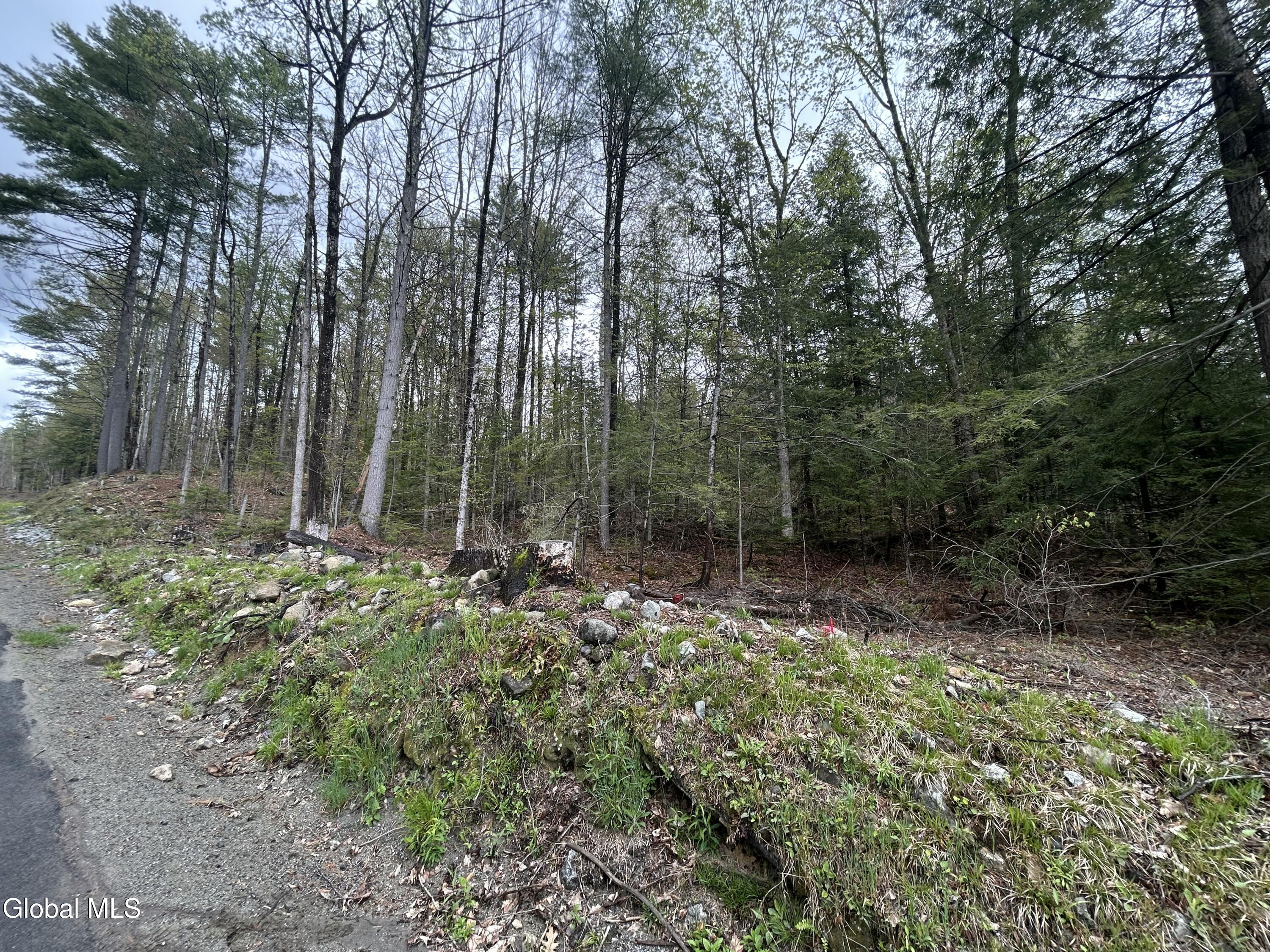 Land in Horicon 4