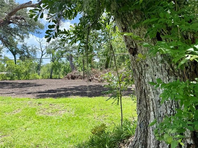 66 Eagons Rd, Home with 0 bedrooms, 0 bathrooms and null parking in Angleton TX | Image 4