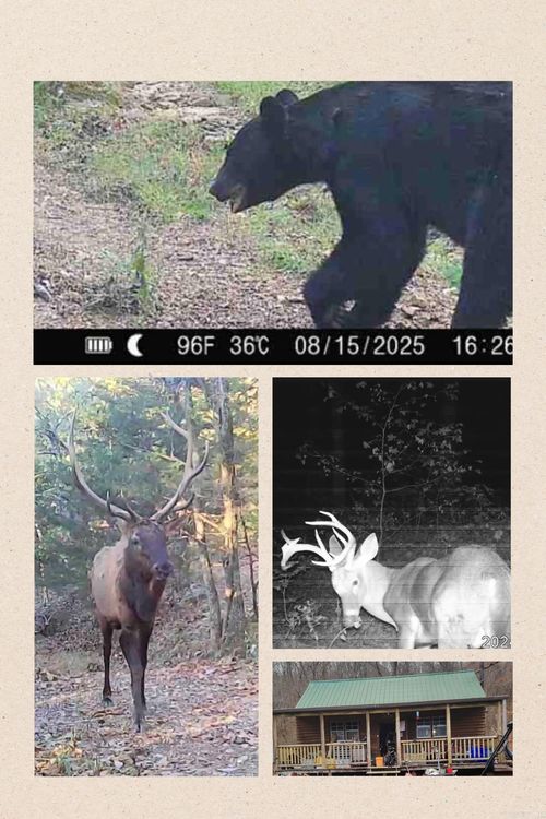 582 Marathon Ln, Saint Joe, AR, 72675-1470 | Card Image