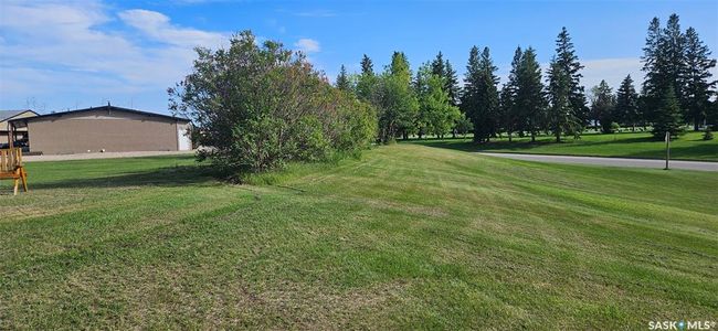 View of grassy yard | Image 8