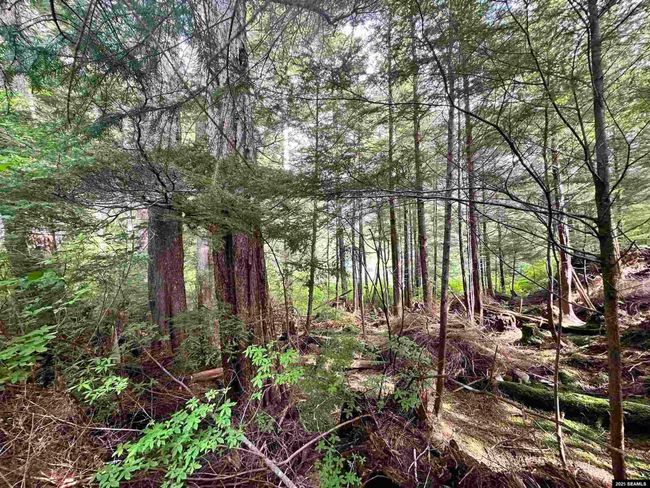 100 Yakobi Way, Home with 0 bedrooms, 0 bathrooms and null parking in Sitka AK | Image 11