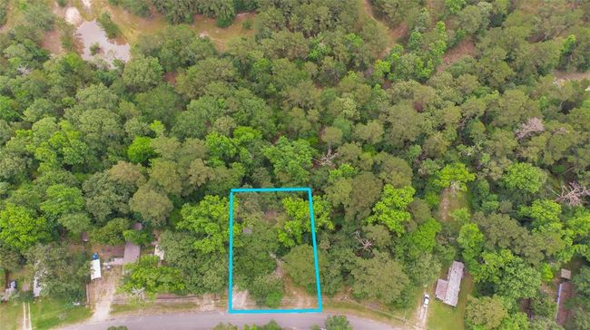 1209 Trinity Cove Dr, House other with 2 bedrooms, 1 bathrooms and null parking in Trinity TX | Image 24