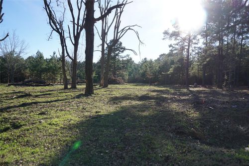 1087 County Road 318, San Augustine, TX, 75972 | Card Image