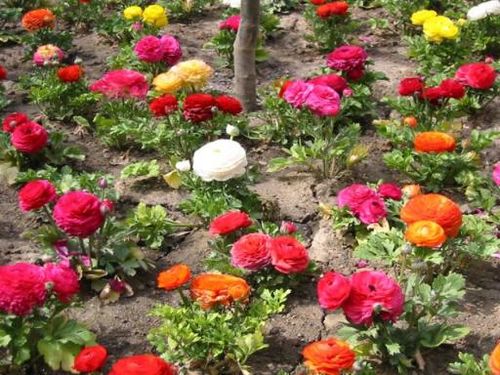 1235 Hathaway Dr, Sycamore, IL, 60178-3246 | Card Image