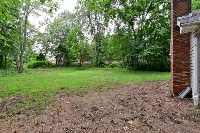 Back Yard | Image 26