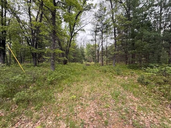 4465 E Old M 63, House other with 3 bedrooms, 1 bathrooms and null parking in Luther MI | Image 31