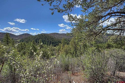 4349 Cr 240, Durango, CO, 81301 | Card Image