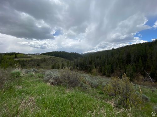 41-41 Grouse Loop Rd, Freedom, WY, 83120 | Card Image