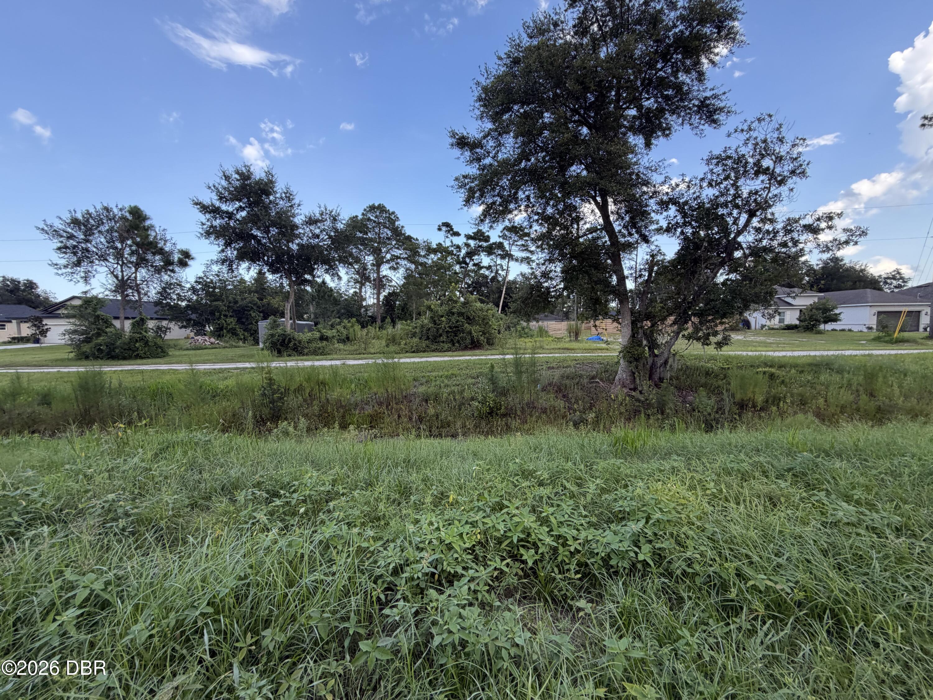 Land in DeLand 4