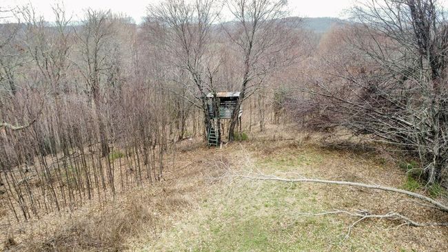 984 Cloverdale Rd, House other with 4 bedrooms, 1 bathrooms and null parking in Independence VA | Image 60