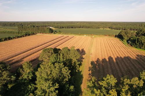 61.77 Acres-TBD Marion Church Rd., Salters, SC, 29590 | Card Image
