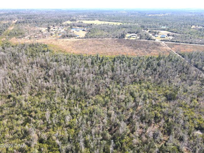 0 John F Bailey Rd, Home with 0 bedrooms, 0 bathrooms and null parking in Blountstown FL | Image 6
