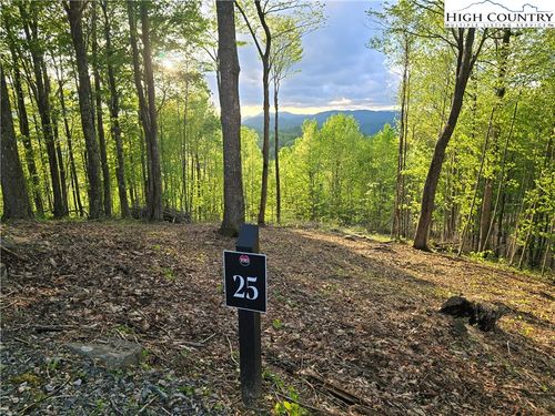 25 Deer Trails Ln, Elk Park, NC, 28622 | Card Image