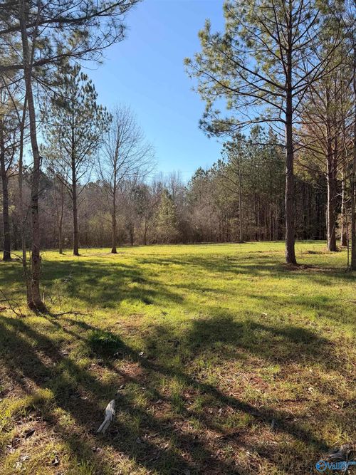 Lot 62A County Road 32, Piedmont, AL, 36272-4769 | Card Image
