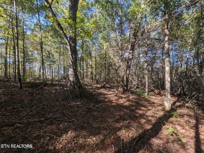 239 Sewell Dr, Home with 0 bedrooms, 0 bathrooms and null parking in Allardt TN | Image 8
