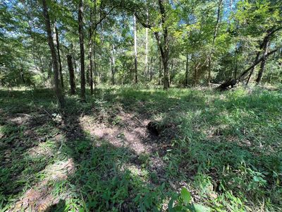 Front of the lot where the culvert is to drive onto the lot. | Image 3