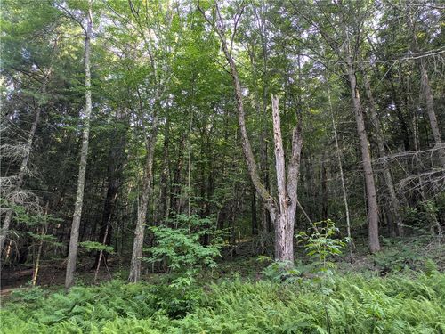 29 Peters Ln, Gilboa, NY, 12076 | Card Image