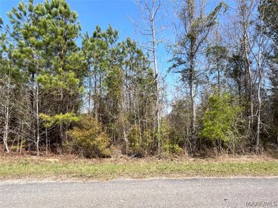 LOT-4 - 0 County Road 322, Home with 0 bedrooms, 0 bathrooms and null parking in Maplesville AL | Image 3