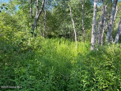 9 State Highway 162, Esperance, NY, 12066 | Card Image