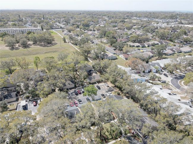2312 Tallyho Ln, House other with 2 bedrooms, 3 bathrooms and null parking in PALM HARBOR FL | Image 41