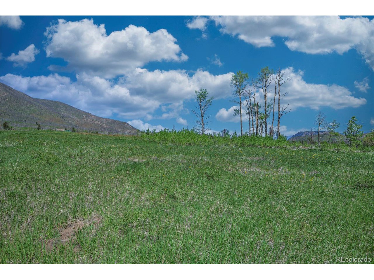 Land in La Veta