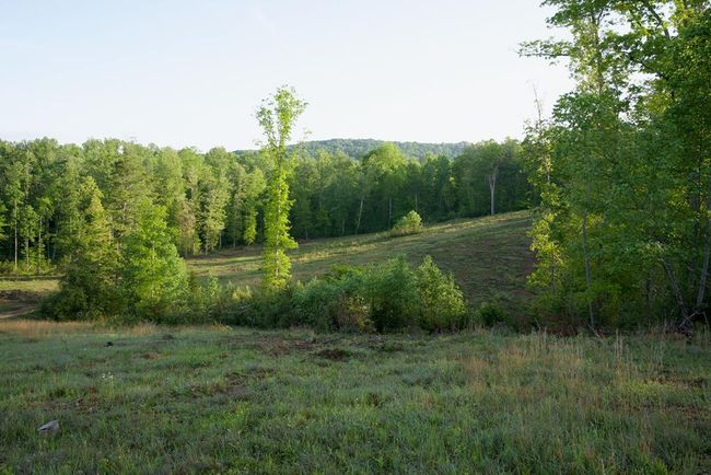 40.46AC Barker Cove Loop, Home with 1 bedrooms, 1 bathrooms and null parking in Palmer TN | Image 27