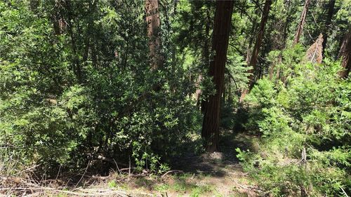 0 Deer Run Rd, Cedarpines Park, CA, 92322 | Card Image
