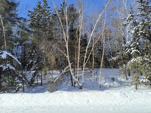 ON W Hill Rd, Rhinelander, WI, 54501 | Card Image