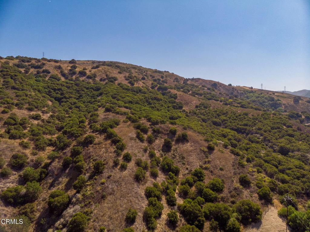 Land in Fillmore 5