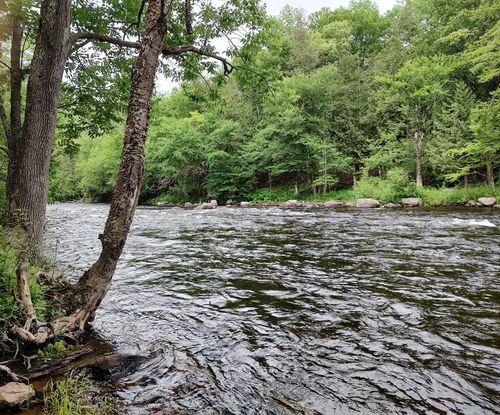 3542 Silver Lake Rd, Saranac, NY, 12981-2654 | Card Image